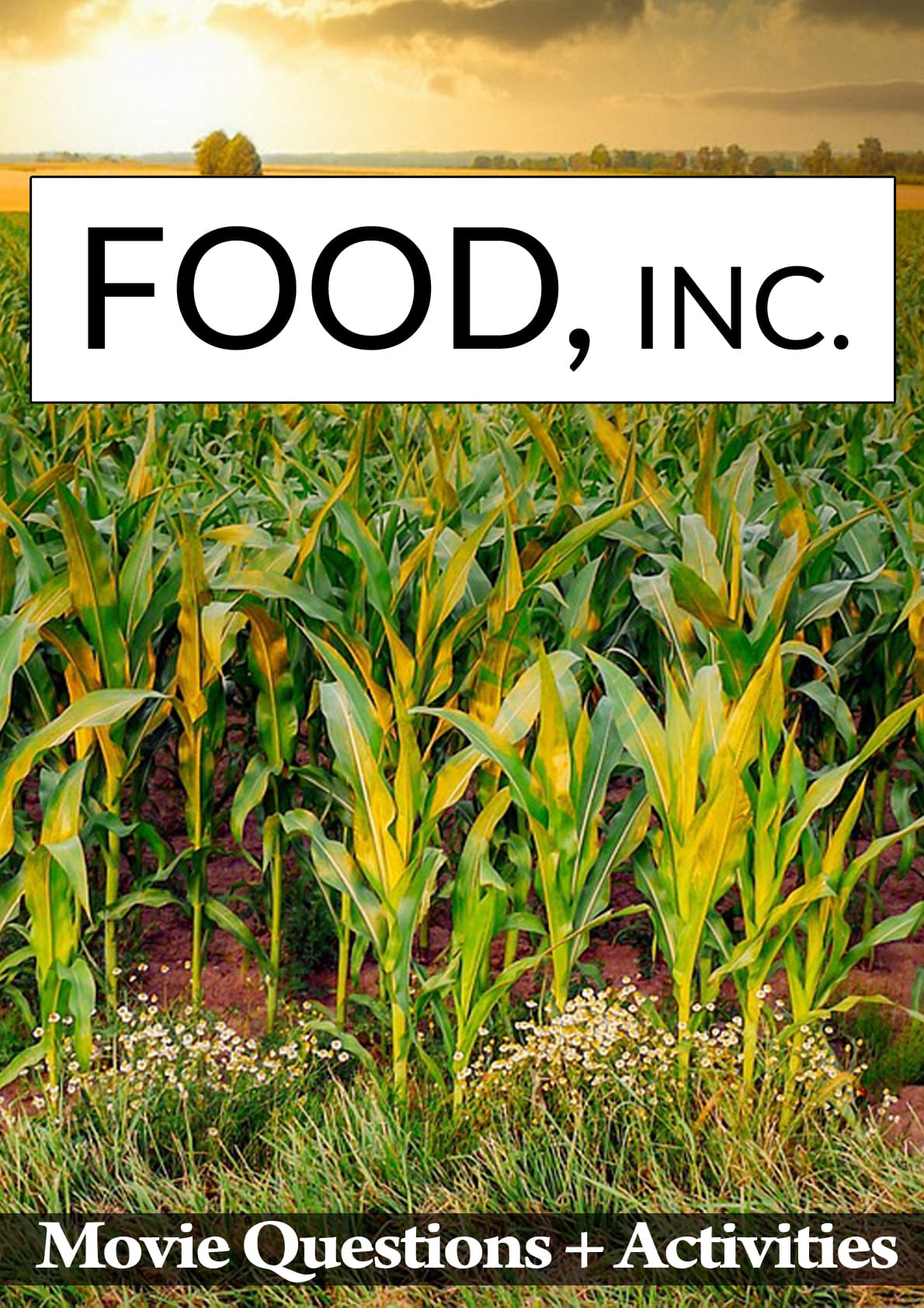Food, Inc. (2008)