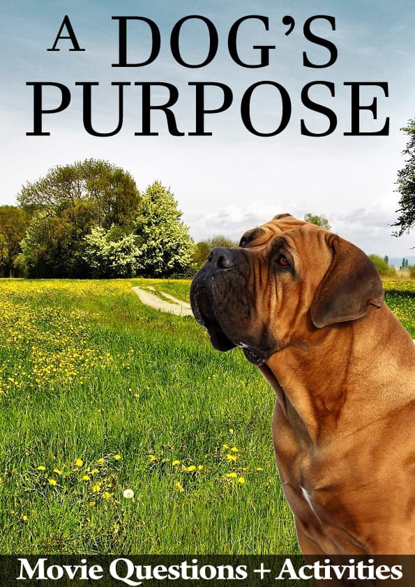 A Dog's Purpose (2017): The Movie That Makes Students Trace Loyalty Across a Lifetime